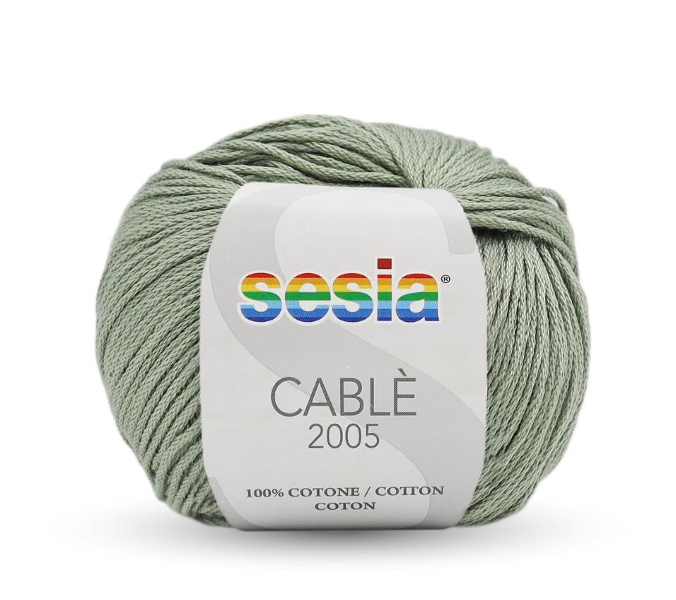 SESIA Cablé 2005