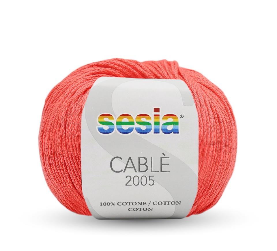SESIA Cablé 2005