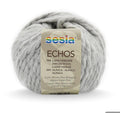 SESIA ECHOS