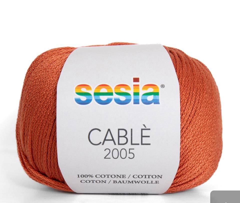 SESIA Cablé 2005