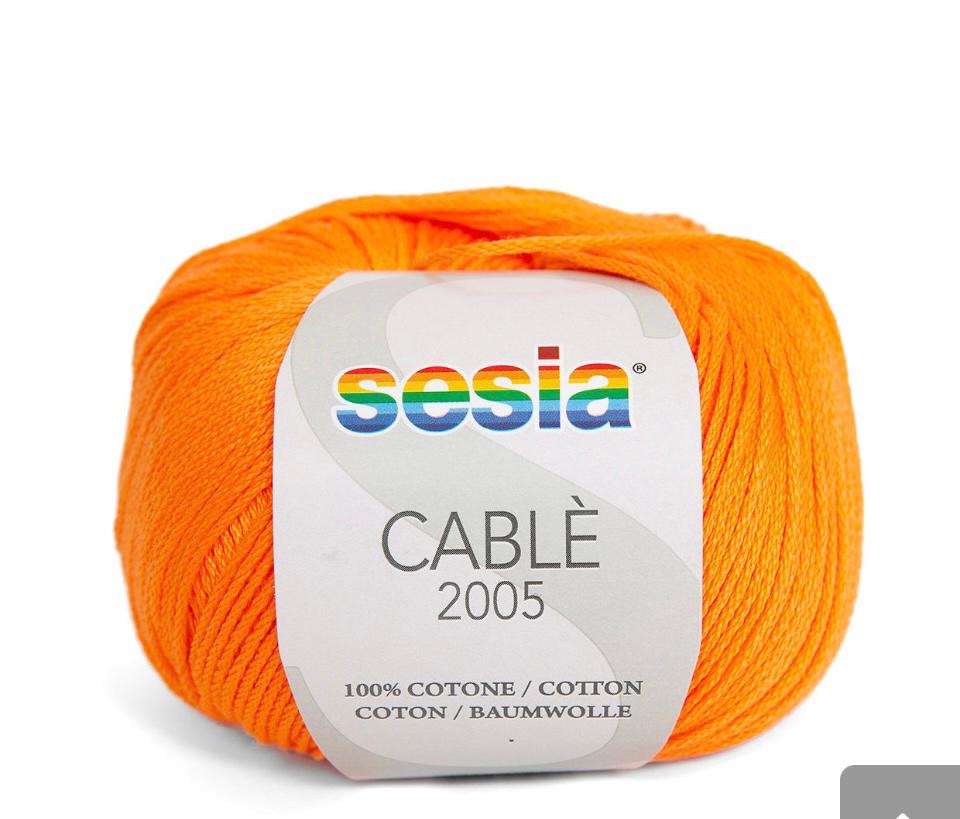 SESIA Cablé 2005