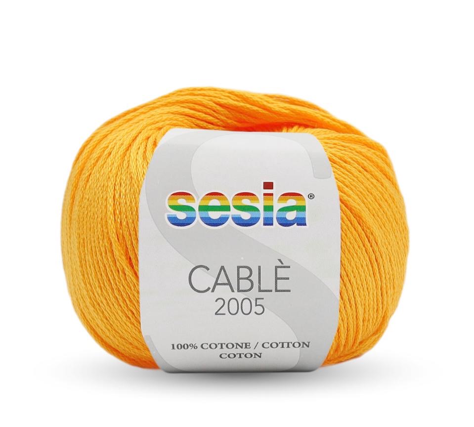 SESIA Cablé 2005